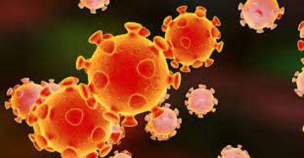 Two Nigerian Travellers Confirmed with Omicron COVID Variant in Canada